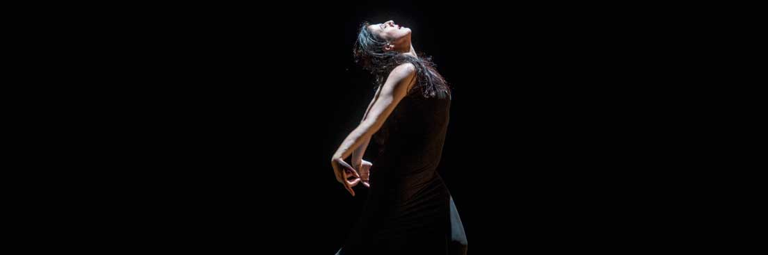 espectaculo-3279-imagen-cabecera-3.jpg